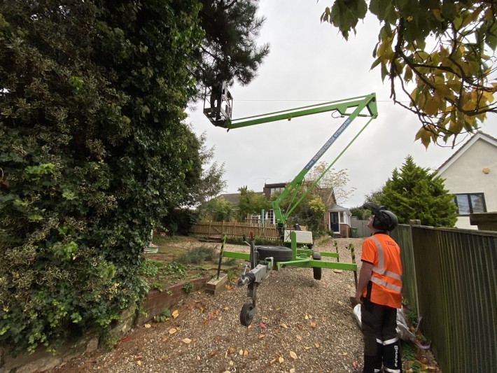 Dr Stump Arboriculture with Niftylift