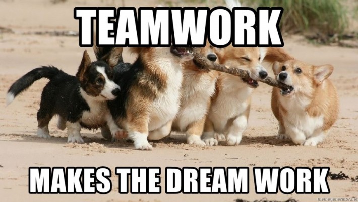 Do you work well in a Team?